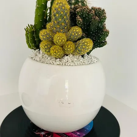 Domus Isidis فندق مبيت وإفطار 3*