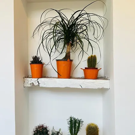 Domus Isidis فندق مبيت وإفطار 3*